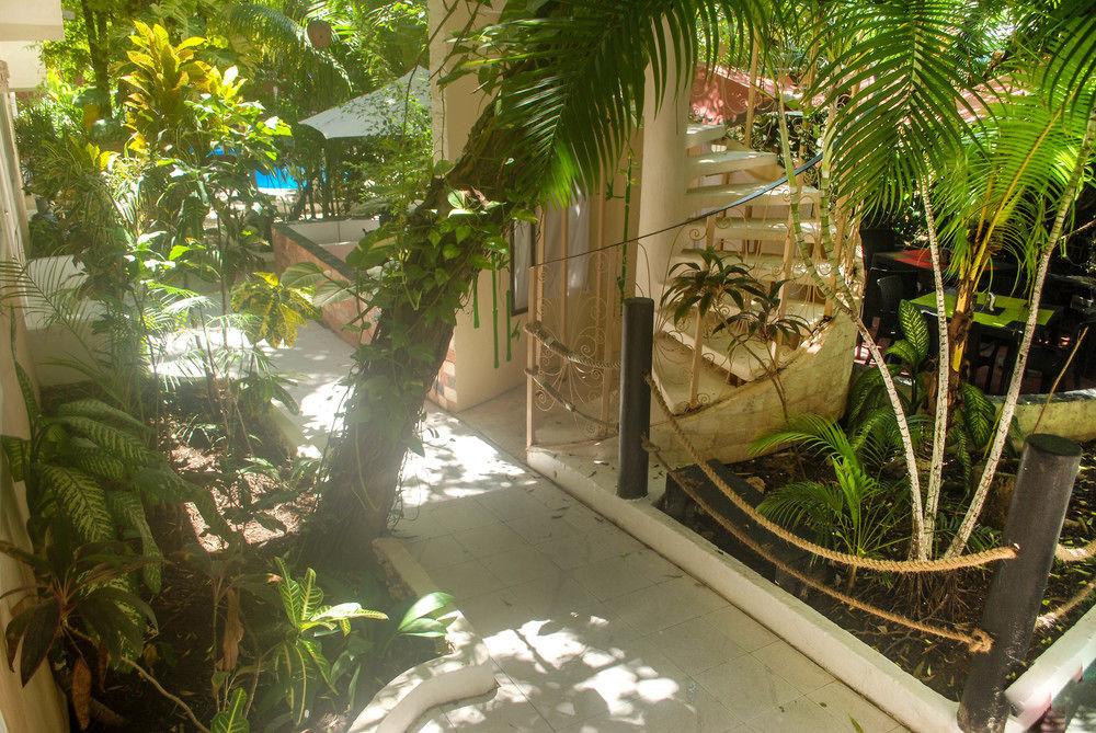 Hotel Beach Energy 5Th Av Playa del Carmen Buitenkant foto